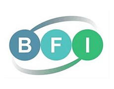 BFI IT Service GmbH