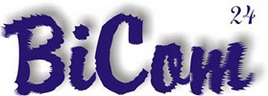 BiCom24 - IT-Consulting