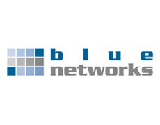 blue-networks GmbH & Co KG