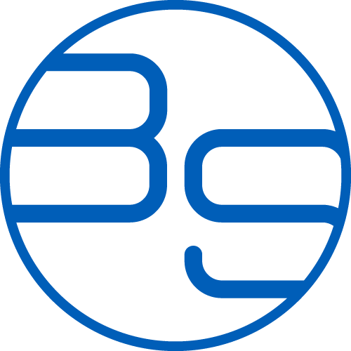 BS software development GmbH & Co. KG