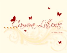 Camera Litterae Kreativagentur