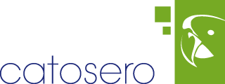 catosero IT-Consulting
