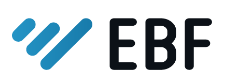 EBF-EDV Beratung Föllmer GmbH