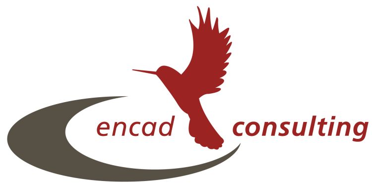 encad consulting GmbH