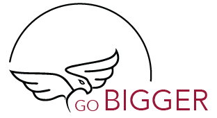 Go Bigger GmbH