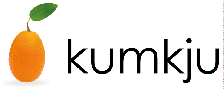 kumkju GmbH