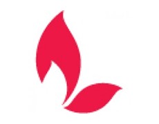 Lesotre / Conceptual Brand Creation