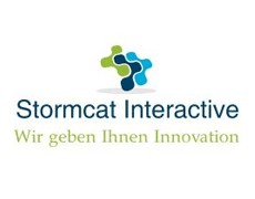 Stormcat Interactive, Martin Willert