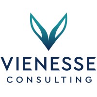 Vienesse AT Consulting GmbH
