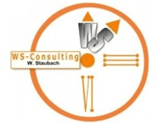 WS.Consulting